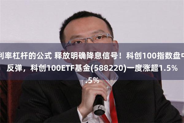 利率杠杆的公式 释放明确降息信号！科创100指数盘中反弹，科创100ETF基金(588220)一度涨超1.5%