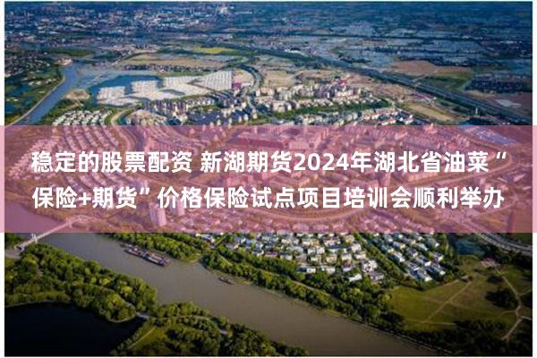 稳定的股票配资 新湖期货2024年湖北省油菜“保险+期货”价格保险试点项目培训会顺利举办