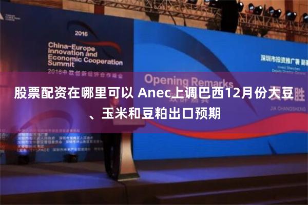 股票配资在哪里可以 Anec上调巴西12月份大豆、玉米和豆粕出口预期