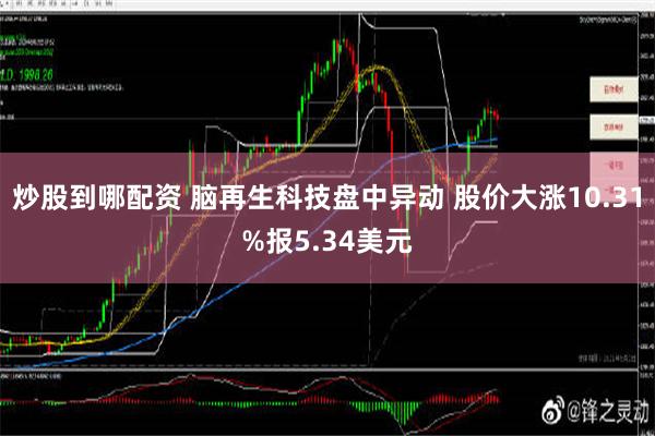 炒股到哪配资 脑再生科技盘中异动 股价大涨10.31%报5.34美元