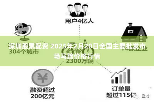 深圳股票配资 2025年2月20日全国主要批发市场马蹄价格行情